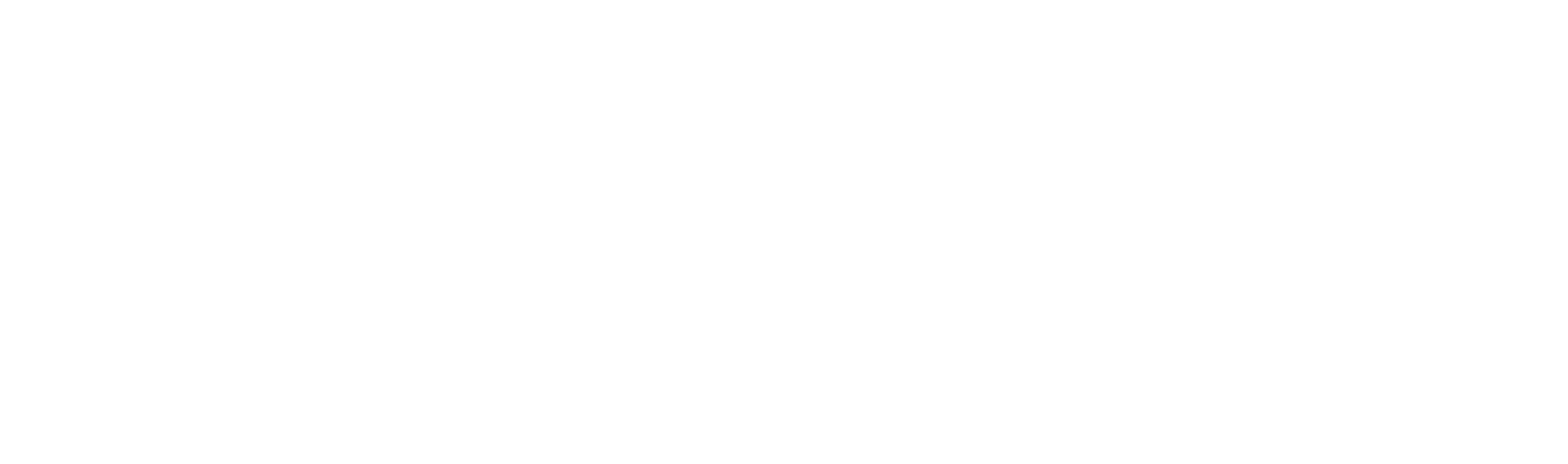 logo_en_white-2021